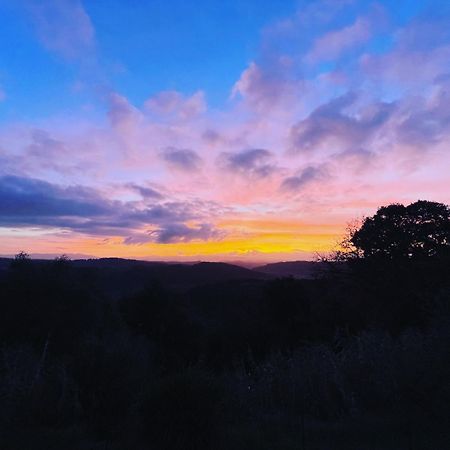 Agriturismo Anna-Rosa Legoli エクステリア 写真