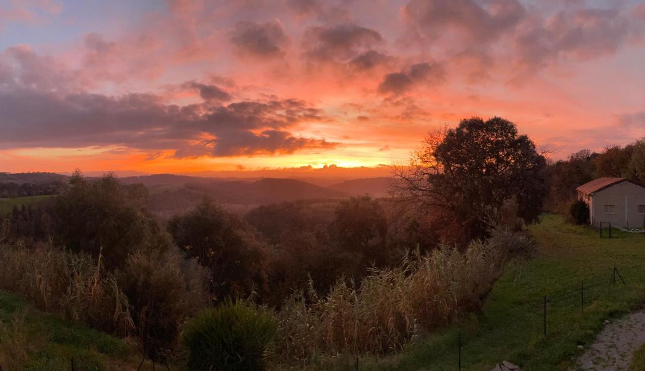 Agriturismo Anna-Rosa Legoli エクステリア 写真