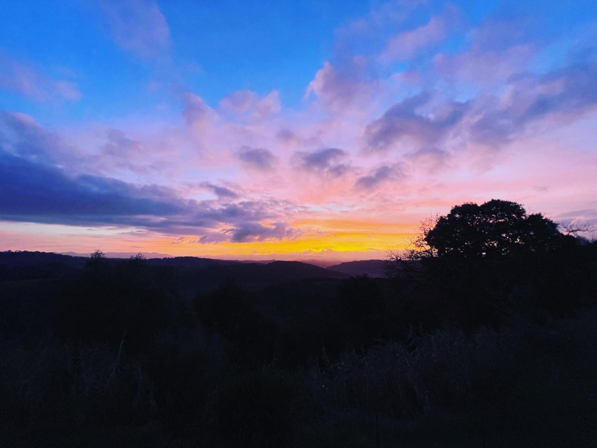 Agriturismo Anna-Rosa Legoli エクステリア 写真
